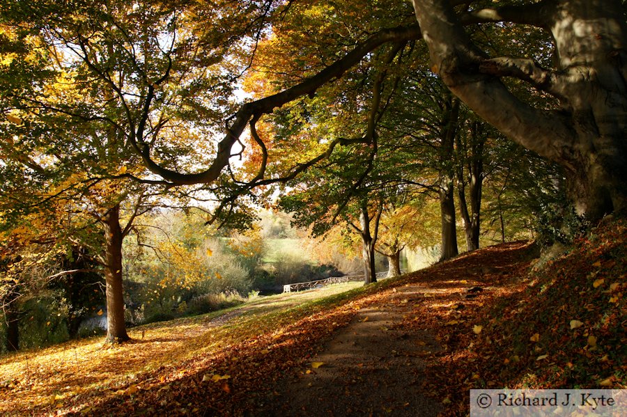 The Weir Garden, Herefordshire