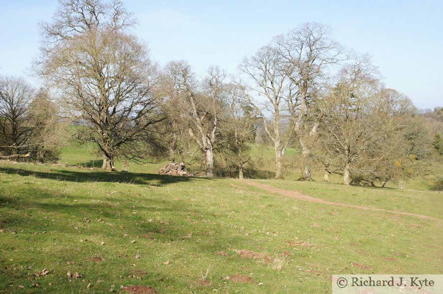 Brockhampton Estate, Herefordshire