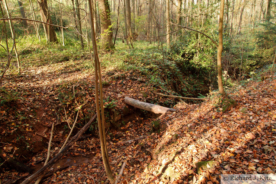 Stream, Brockhampton Estate, Herefordshire