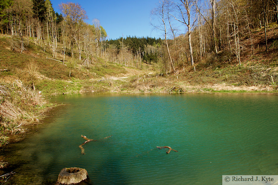 Pool, Fish Pool Valley, Croft Castle, Herefordshire