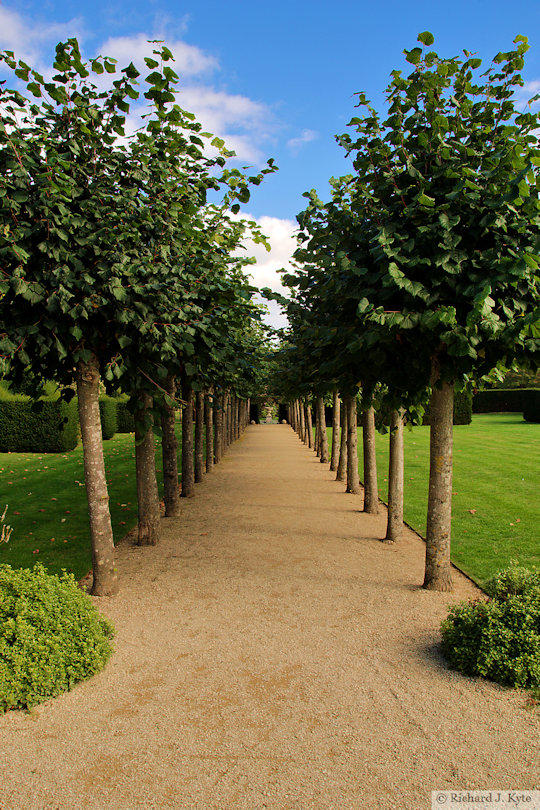 Tree Avenue, Coughton Court, Warwickshire