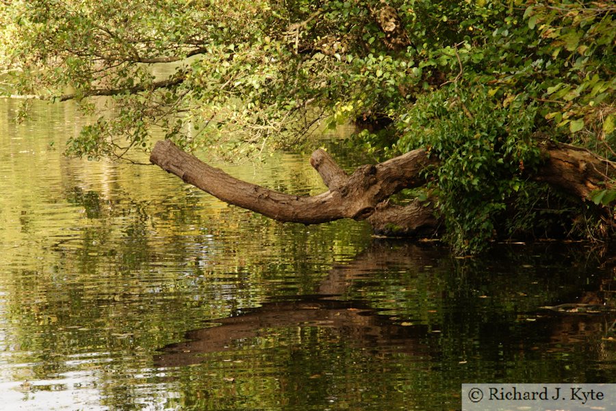 Reflections in The Lake, Coughton Court, Warwickshire