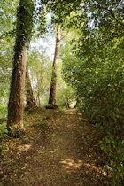 Click to see expanded image