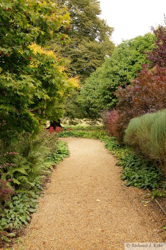 Path, The Blind Walk, Kingston Lacy, Dorset