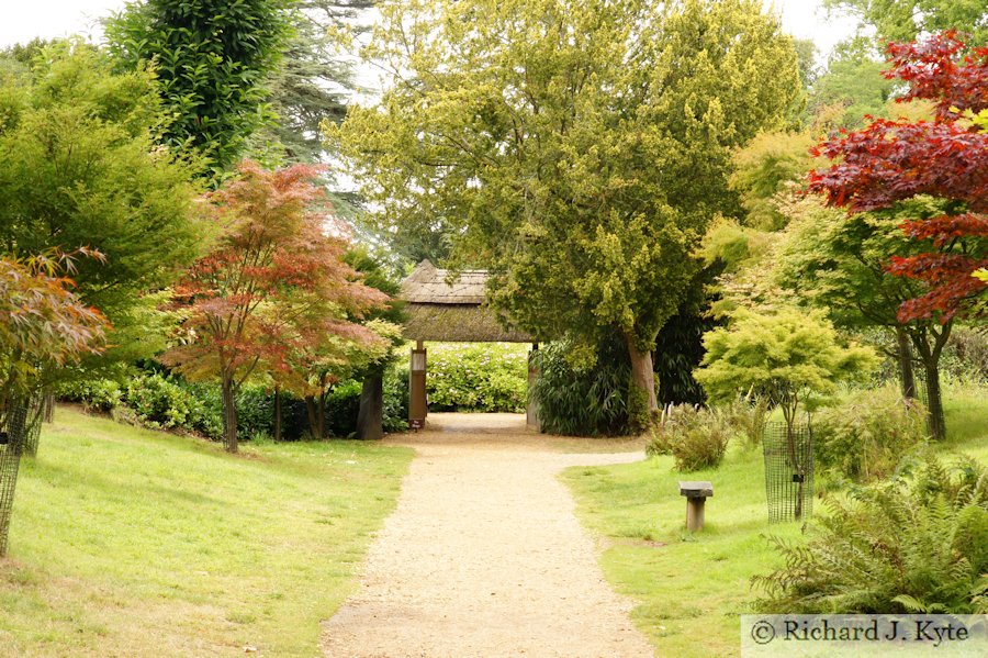 The Lady's Walk, Kingston Lacy, Dorset