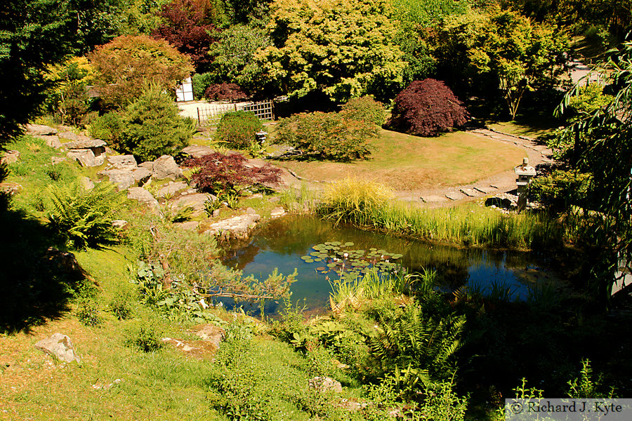 Japanese Garden, Kingston Lacy, Dorset