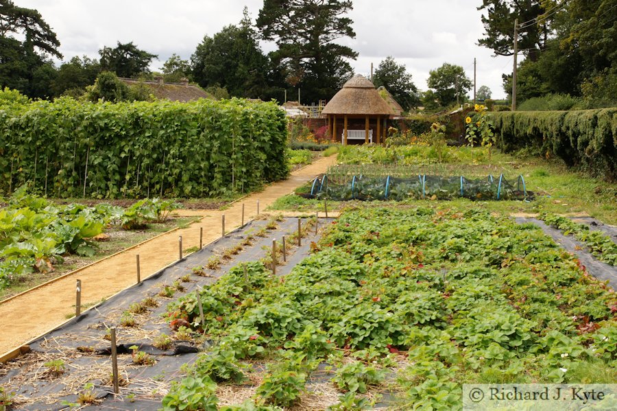 Kitchen Garden, Kingston Lacy, Dorset
