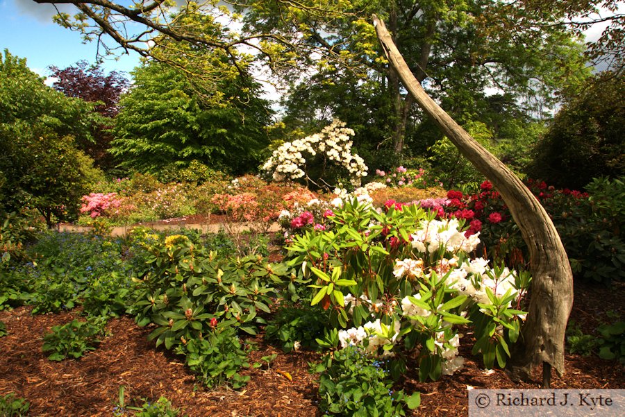 Flowerbed, Woodland Walk, Kingston Lacy, Dorset