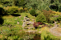 Click to see expanded image
