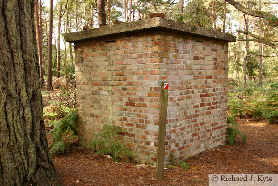 Bat Hibernaculum, Brownsea Island, Dorset