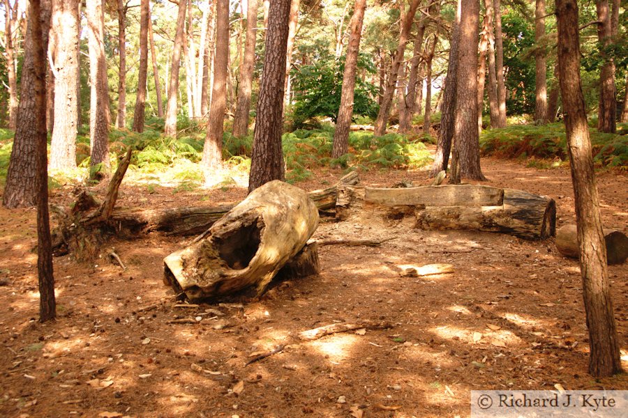 The TV Lounge, Brownsea Island, Dorset