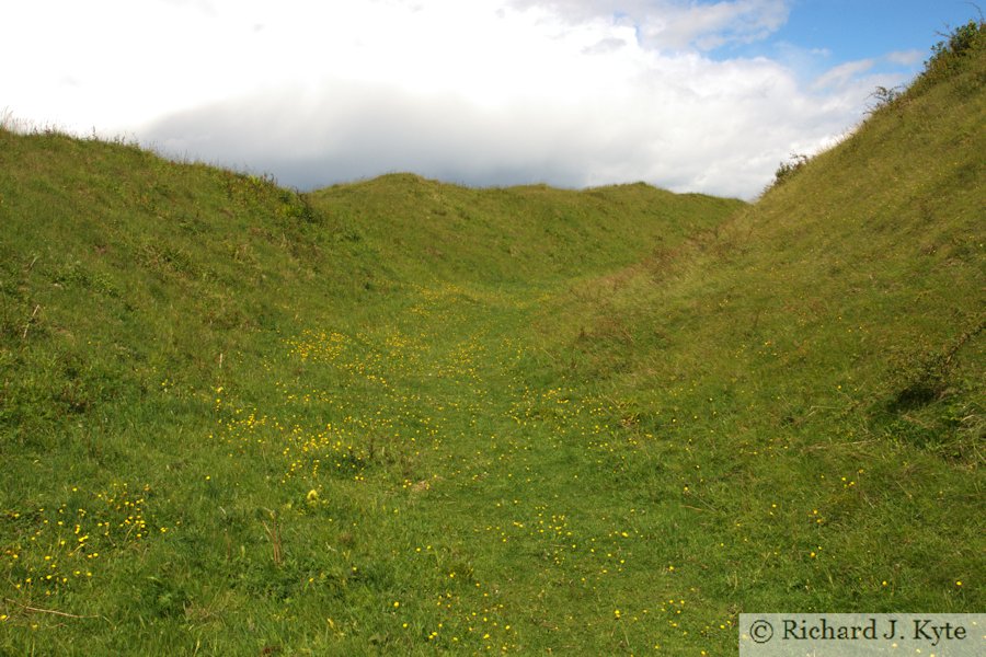 Badbury Rings, Dorset