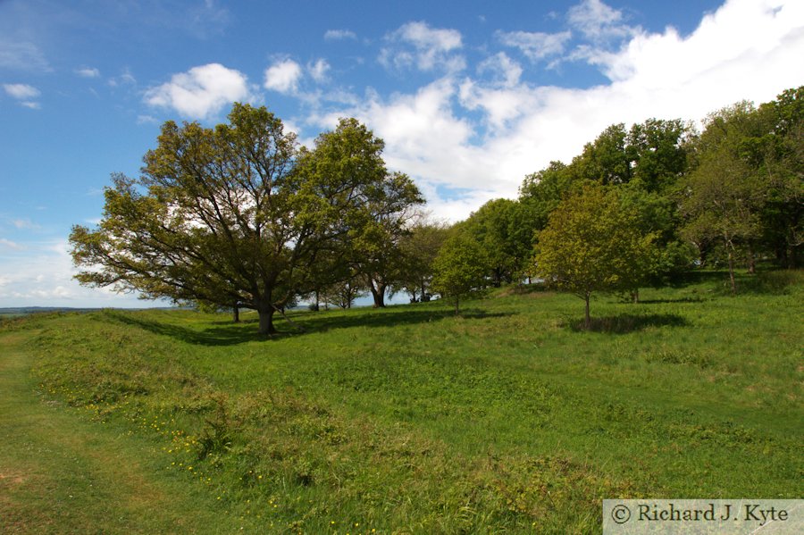 Badbury Rings, Dorset