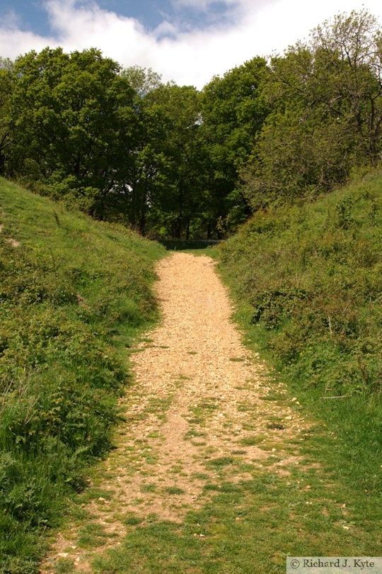 Badbury Rings, Dorset