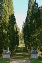 Click to see expanded image