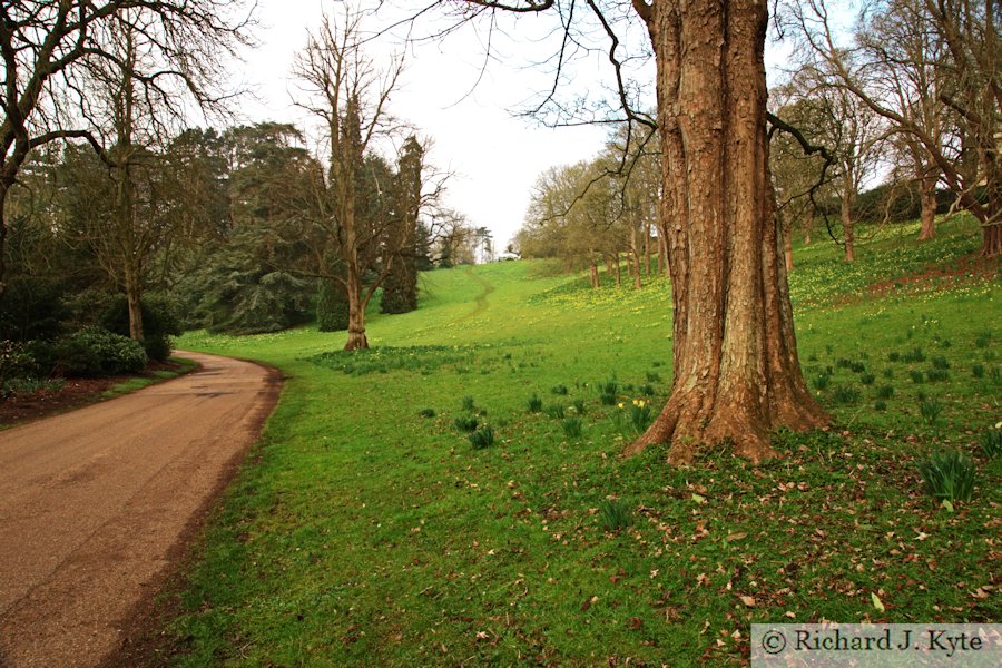 Looking up the approach drive, Waddeston Manor, Buckinghamshire