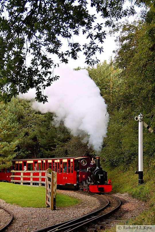 "Anne" climbs the bank into Rookwood, Perrygrove Railway Gala 2017