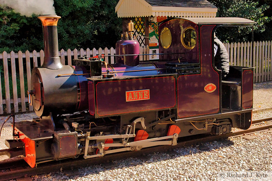 "Anne" at Rookwood, Perrygrove Railway