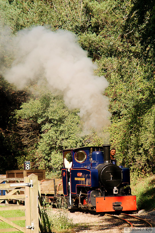 "Lydia" climbs the bank into Rookwood, Perrygrove Railway Gala 2017