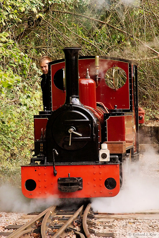 Spirit of Adventure at Oakiron, Perrygrove Railway 