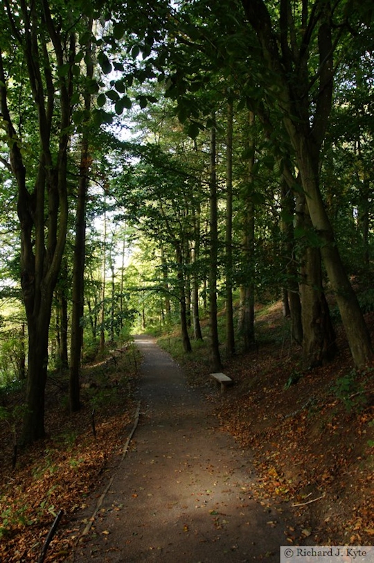 Path, The Lost Terraces, Dyrham Park, Gloucestershire