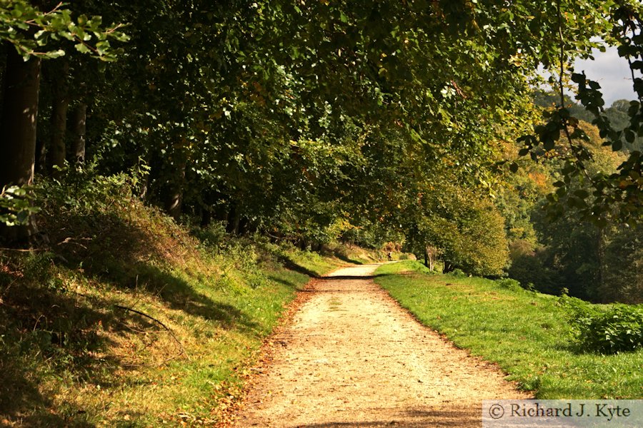 Woodchester Park, Gloucestershire
