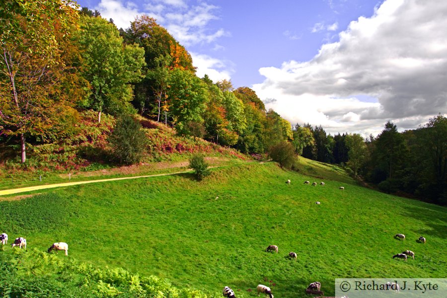 Woodchester Park, Gloucestershire