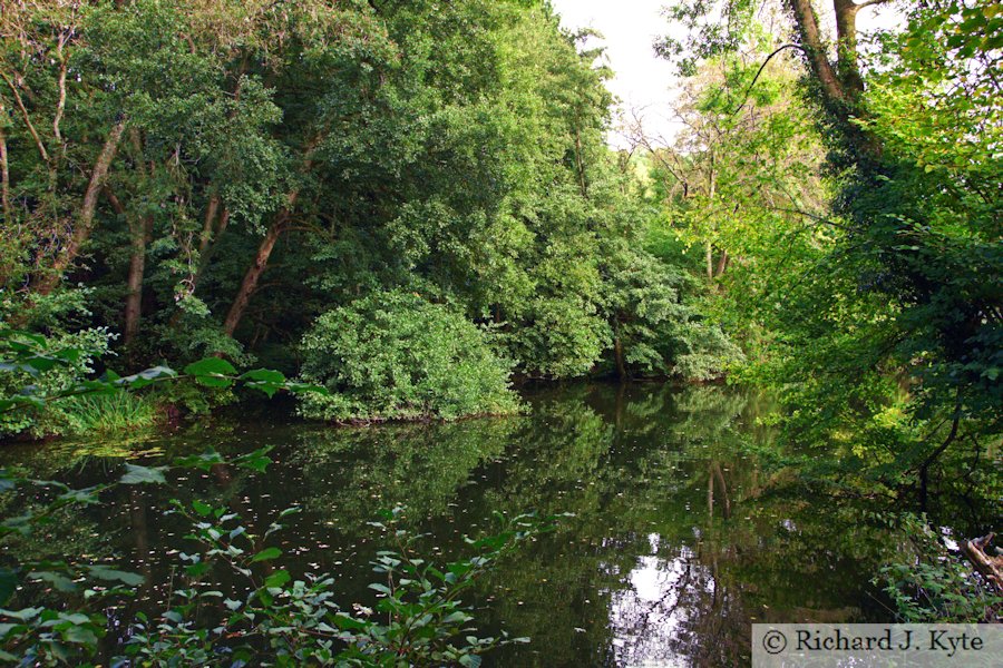 The Middle Pond, Woodchester Park, Gloucestershire