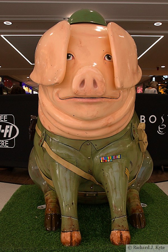 Pig 3 : "Private Henson", Henson Pig Trail 2017, Gloucestershire