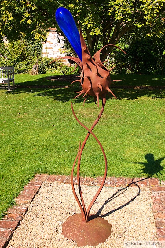 Prickly Pod by Jenny Pickford,Nature in Art, Gloucestershire