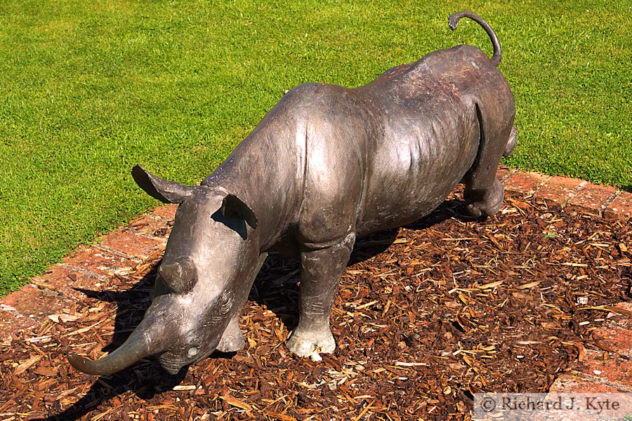 Charging Rhino by Terry Matthews,Nature in Art, Gloucestershire