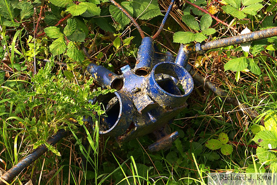 Sculpture, Nature in Art, Gloucestershire
