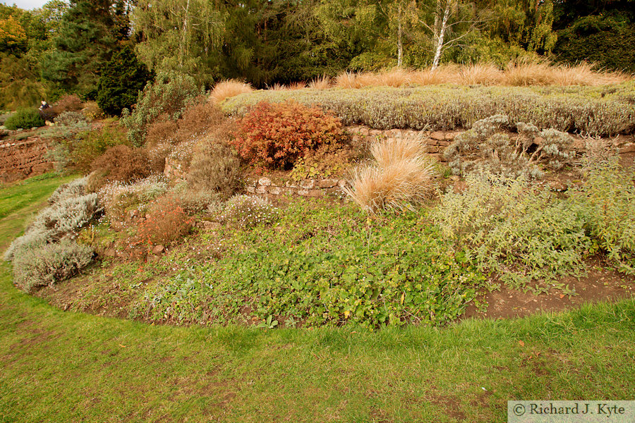 Rock Garden, Dudmaston Hall, Shropshire