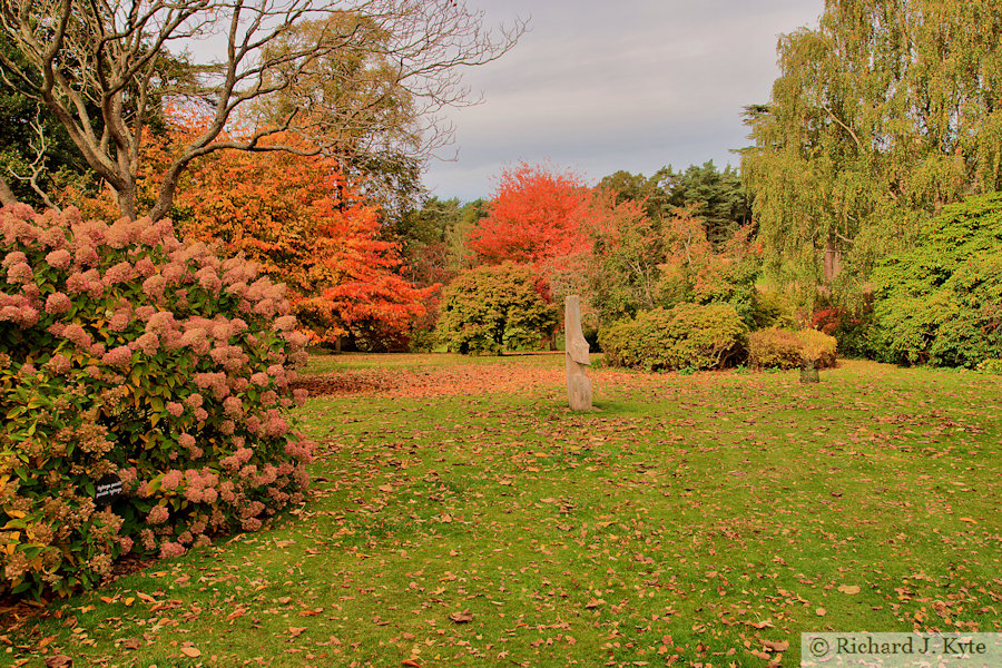 The American Garden, Dudmaston Hall, Shropshire
