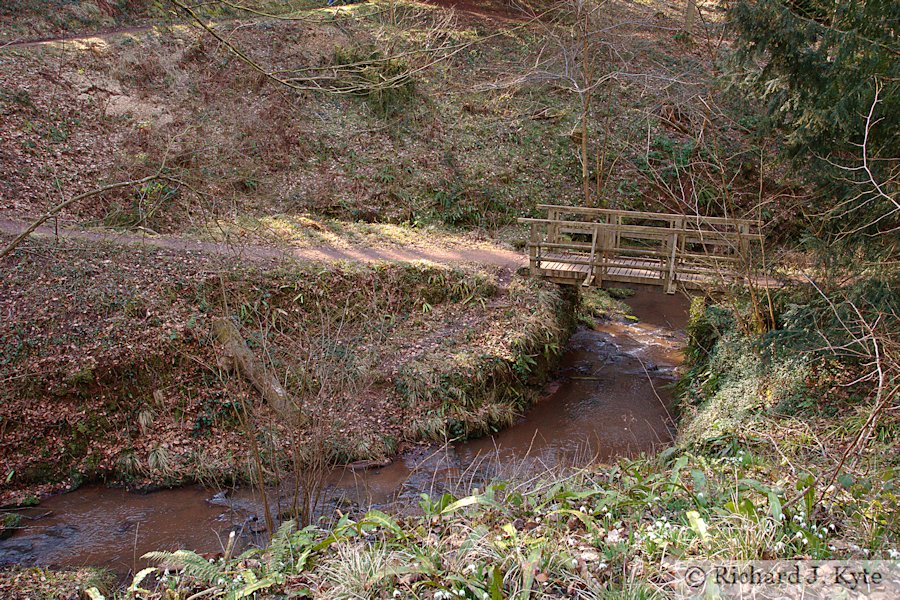 Stream, Dudmaston Hall, Shropshire