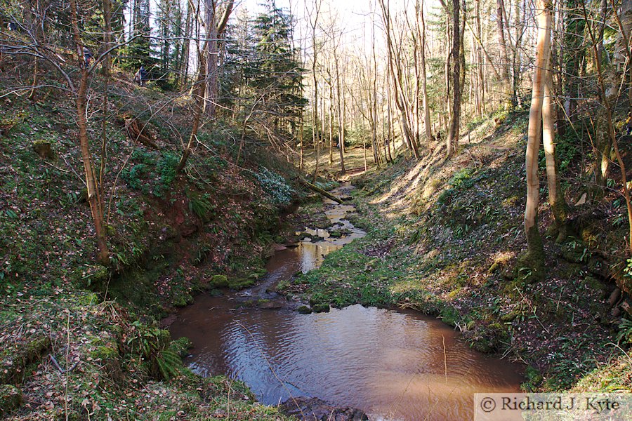 Stream, Dudmaston Hall, Shropshire