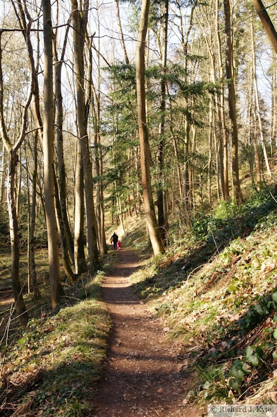 Path, Dudmaston Hall, Shropshire