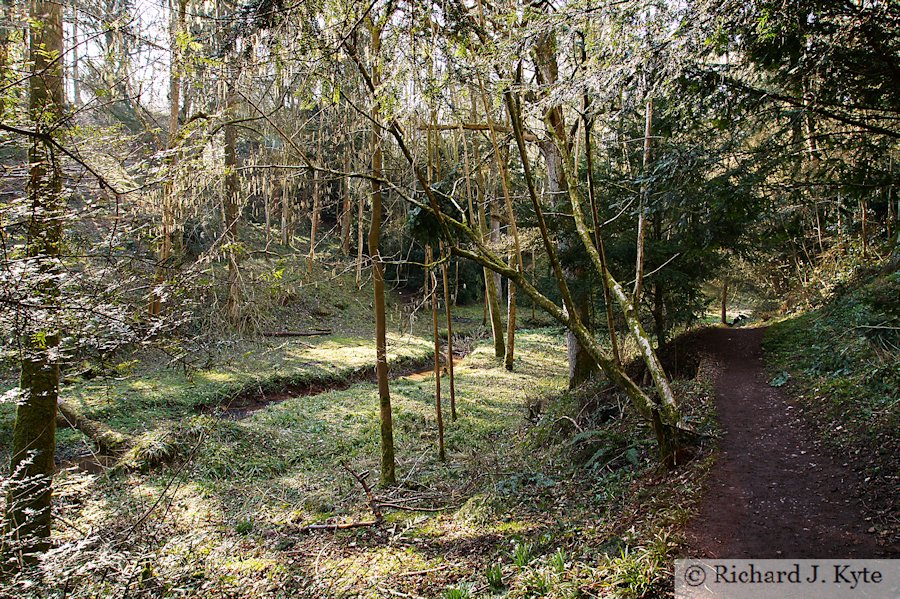 Path, Dudmaston Hall, Shropshire