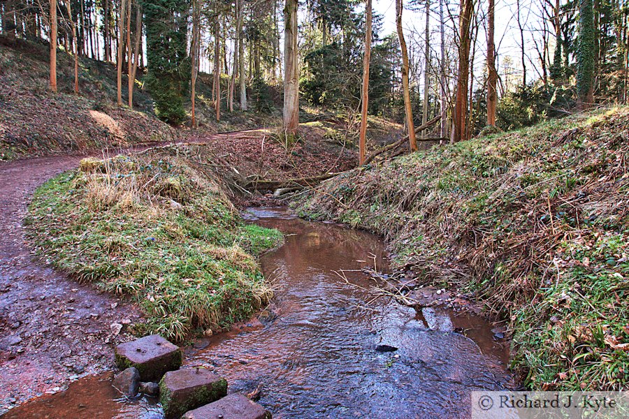 Stream, Dudmaston Hall, Shropshire
