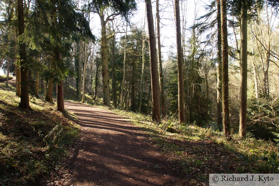 Path, Dudmaston Hall, Shropshire