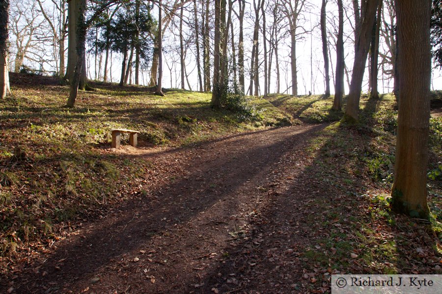 Path, Dudmaston Hall, Shropshire
