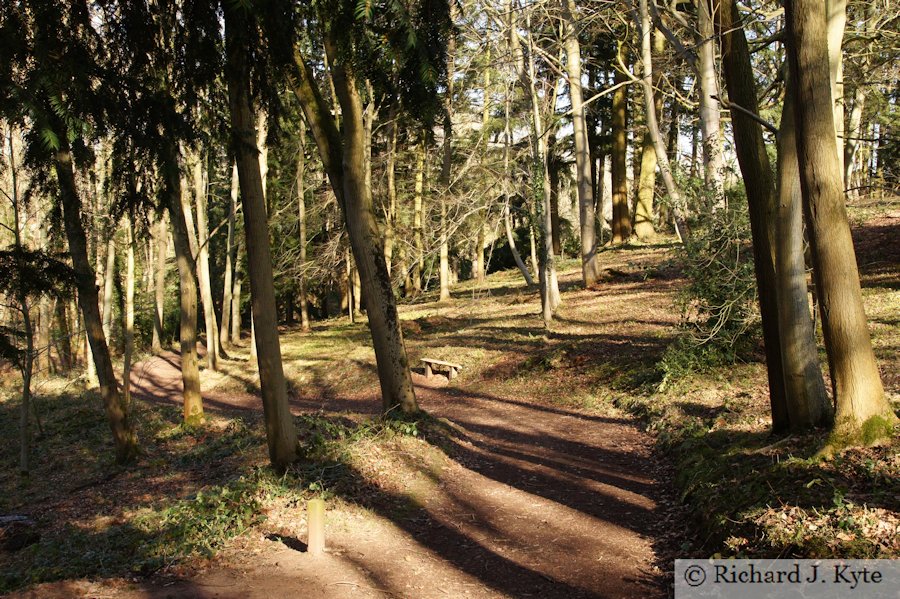 Path, Dudmaston Hall, Shropshire