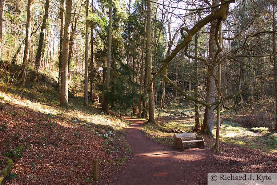Path, Dudmaston Hall, Shropshire