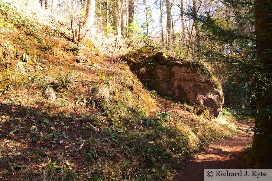 Rock Formation, Dudmaston Hall, Shropshire