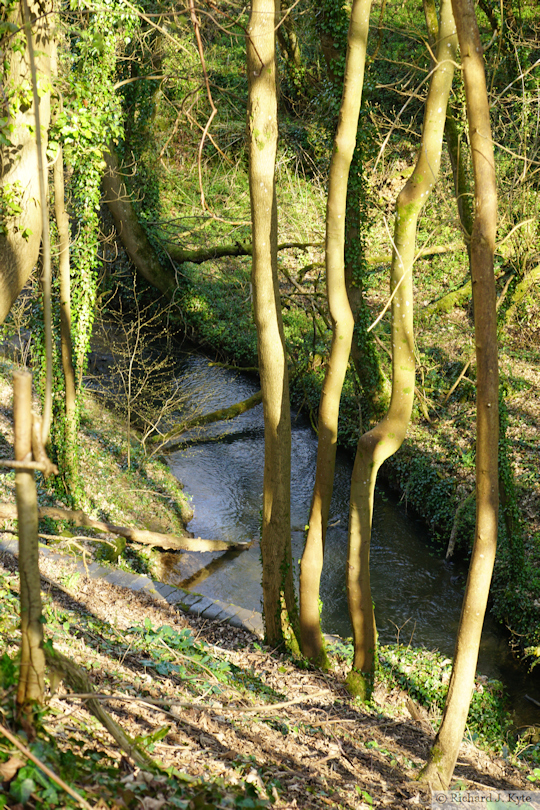 Railway Culvert, River Windrush, Aston Farm, Cotswolds, Gloucestershire