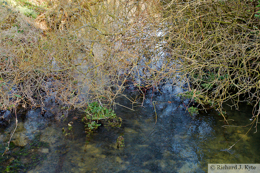 River Windrush, Aston Farm, Cotswolds, Gloucestershire