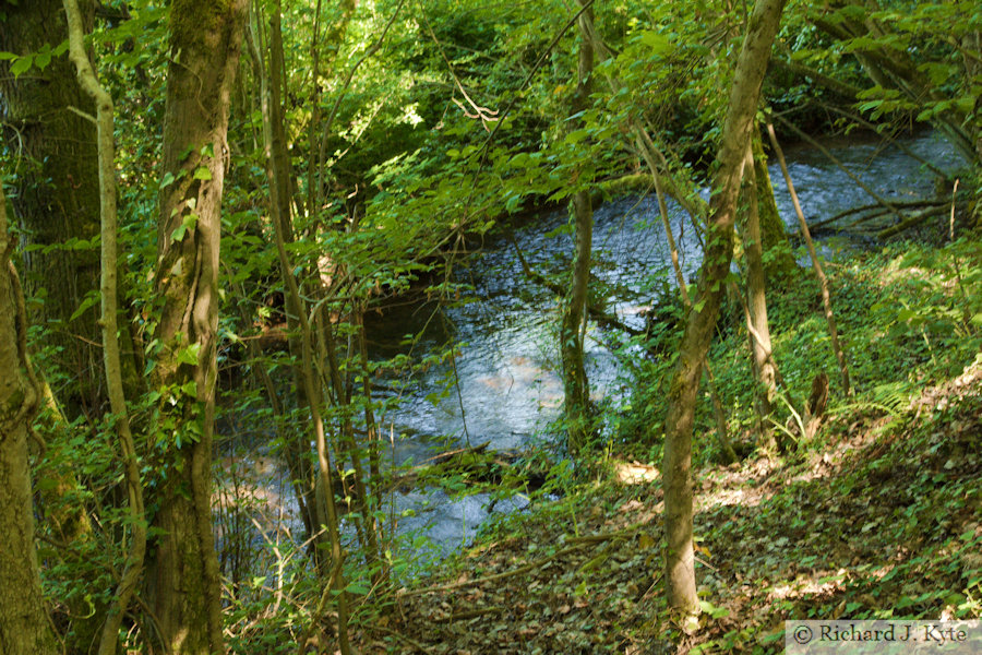 River Windrush, Barton, Cotswolds, Gloucestershire