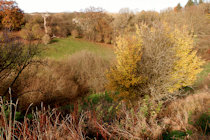 Click to see expanded image