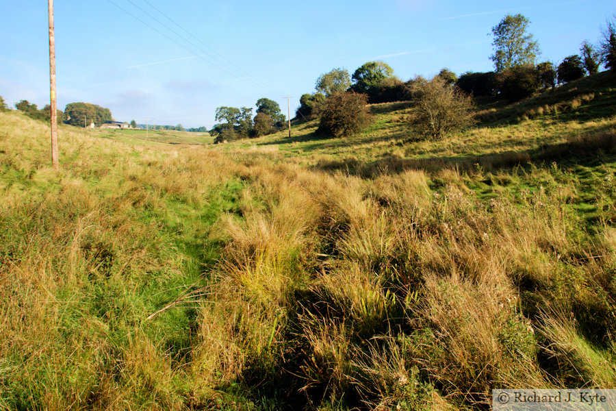 The River Windrush, looking north towards Taddington, Gloucestershire