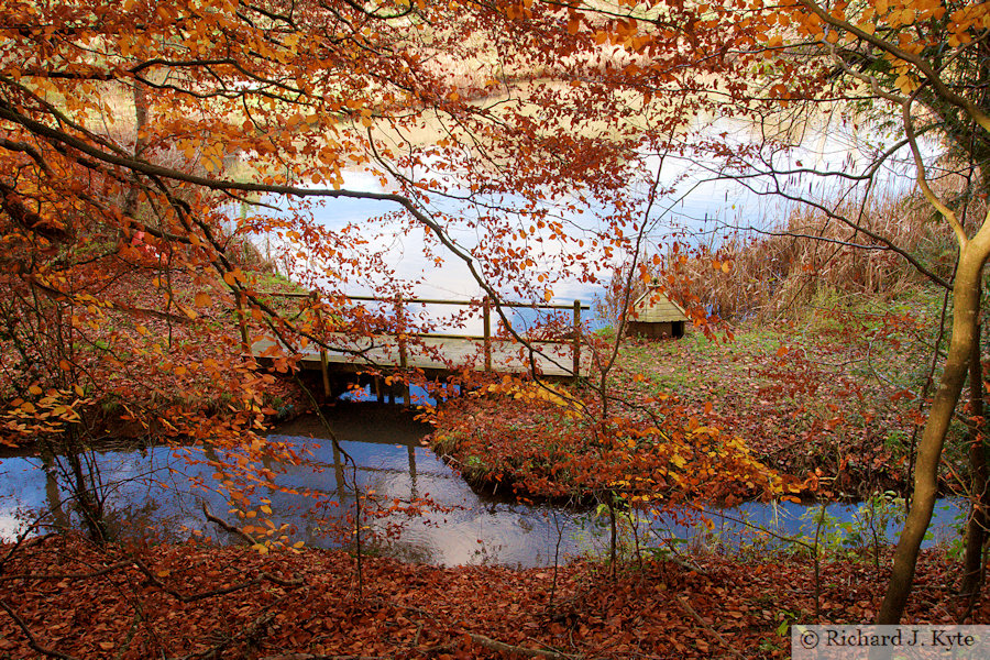 River Windrush, Temple Guiting, Gloucestershire